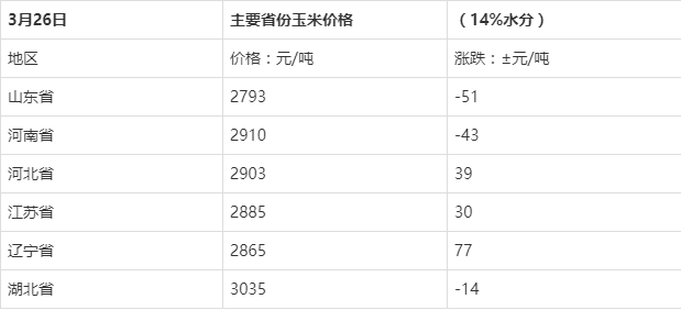 塔城最新玉米價格動態(tài)分析